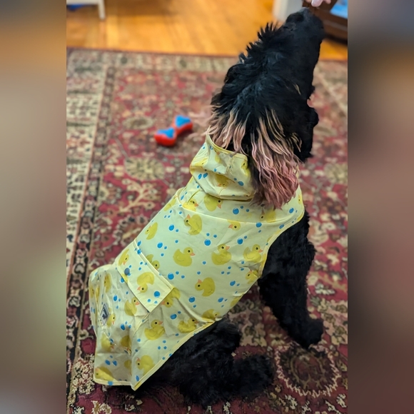 Live Show Notification!!!! - Picture 4 of 8